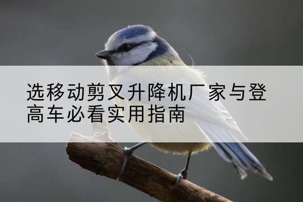 隆德电动升降机厂家-选移动剪叉升降机厂家与登高车必看实用指南