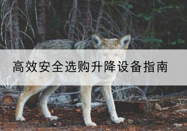 隆德升降货梯厂家推荐-*安全选购升降设备指南