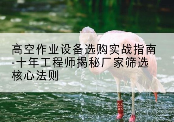 隆德剪叉式升降机厂家-高空作业设备选购实战指南-十年工程师揭秘厂家筛选核心法则